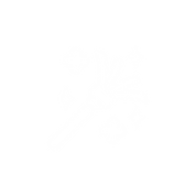 15.png