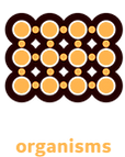 1_HJnBzgo5p3G1tHmP2u8j2A_edited.png