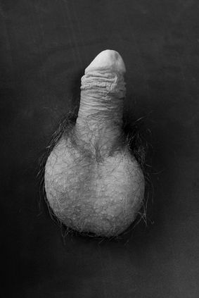 Black and white photograph of a penis