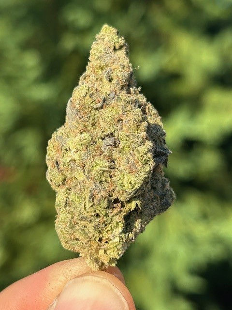 Thumbnail: 1oz Exotic Premium Indoor THCA Flower (THCA Potency ~25-33%)