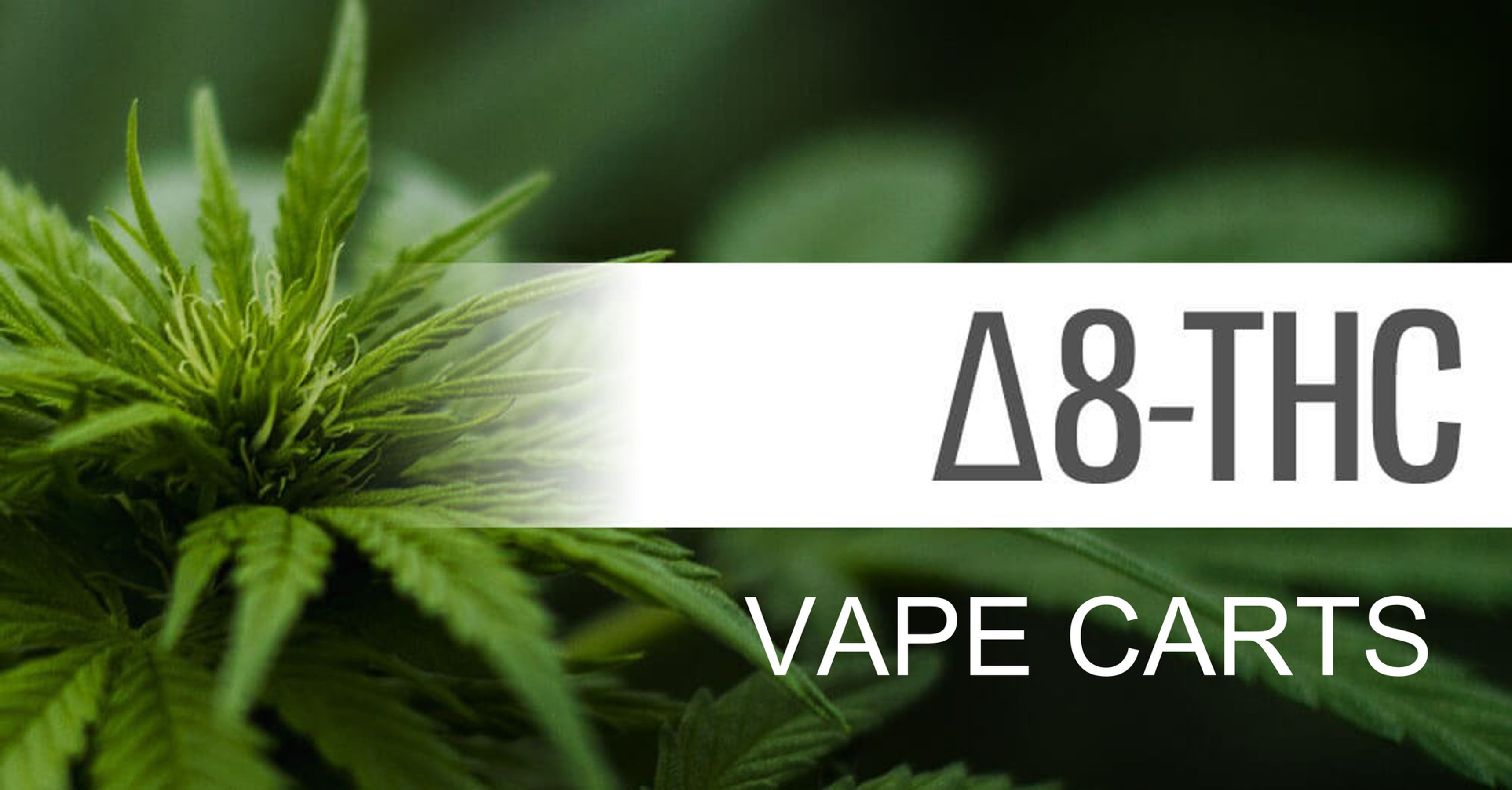 Bulk (Qty 50,100,300,500) 1 Gram Delta 8 Distillate Vape Cartridges ~95%+