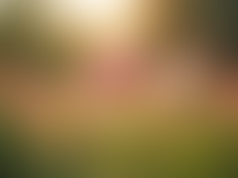 Navigating Menopause: Tips for a Smoother Transition