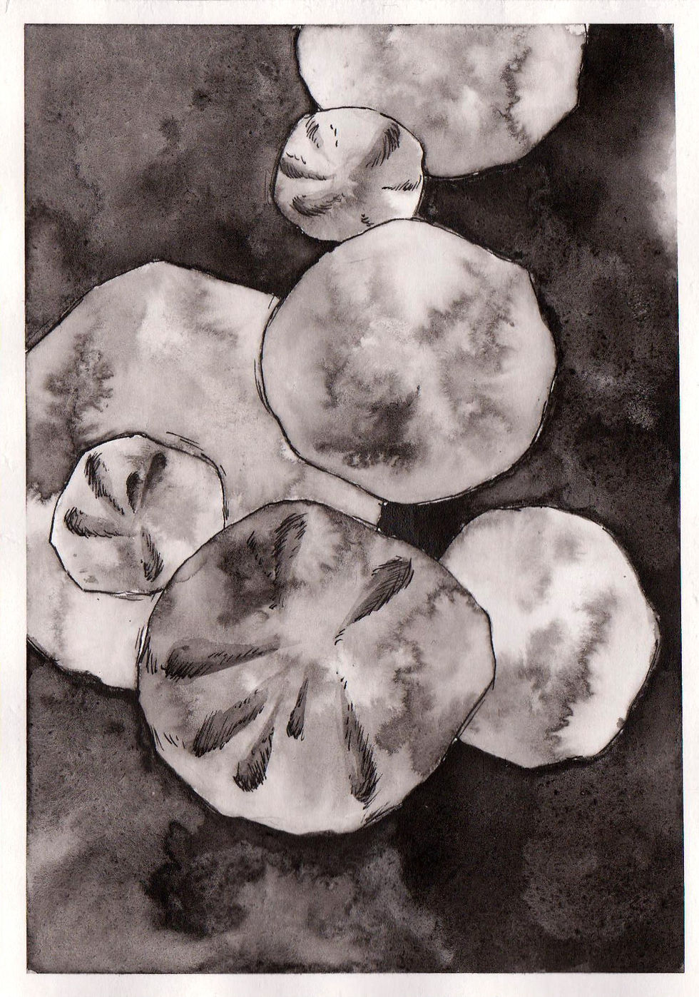Inktober day 17