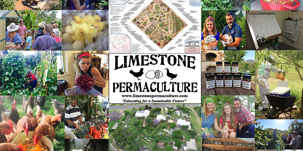 Introduction to Permaculture - Nov 7 & 8