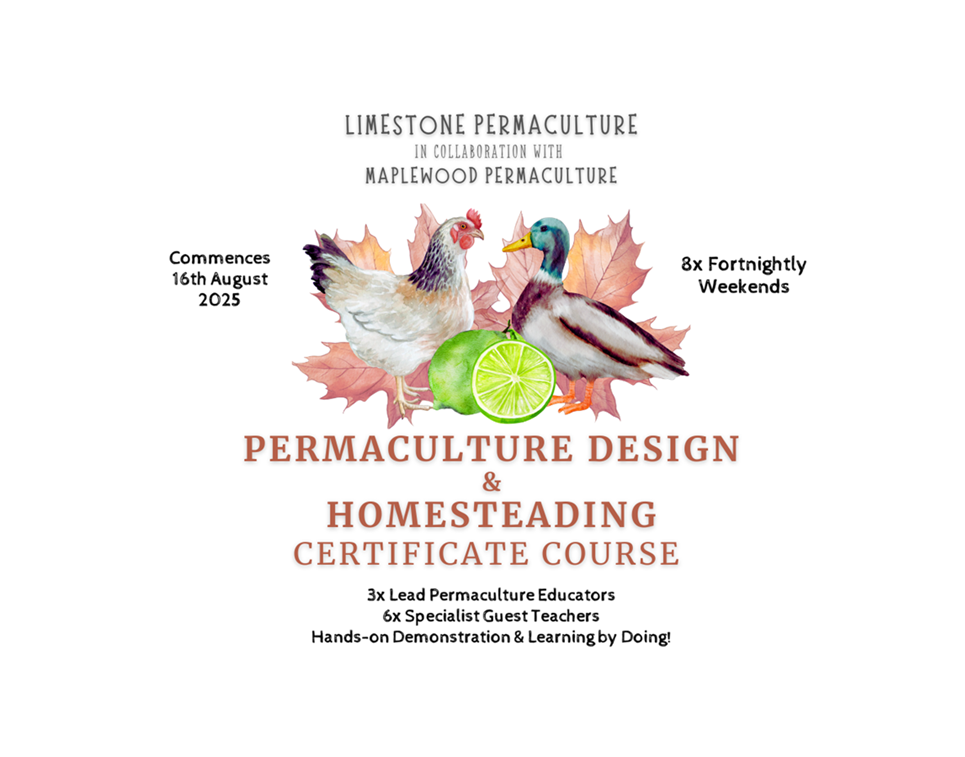 Permaculture Design Certificate & Homesteading Course - Spring 2025