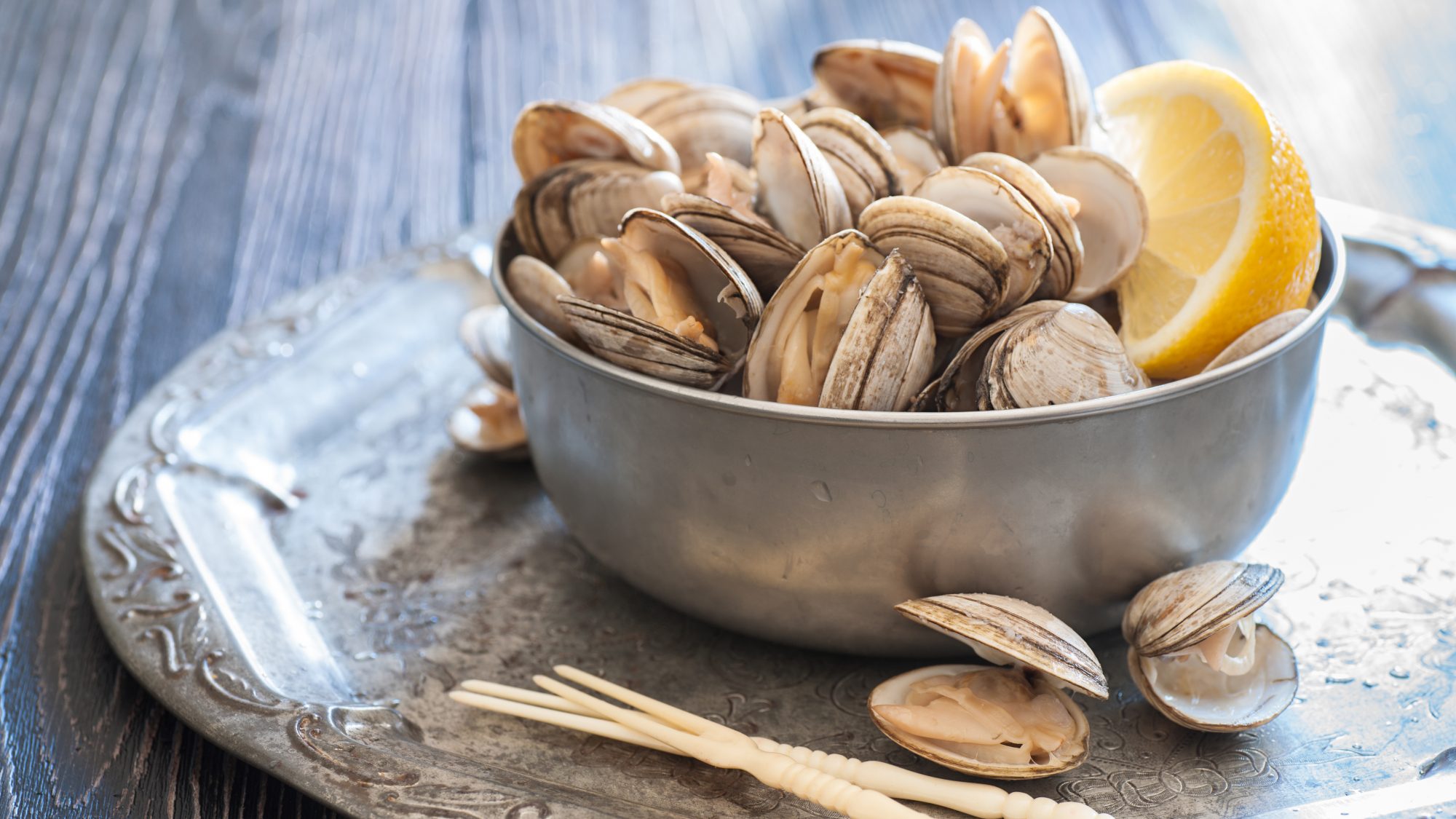 Clam