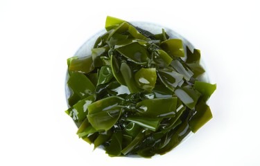 Seaweed Knot