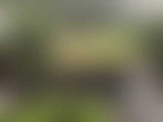 大雨大丈夫でしたか?
