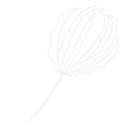 MPP-Flower-Illo-Steel.png