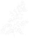 MPP-Fern-Illo-Steel.png
