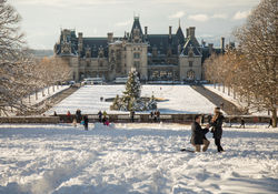 Biltmore proposal photography