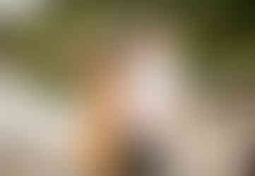 A couple laughs as they walk along a boardwalk together.