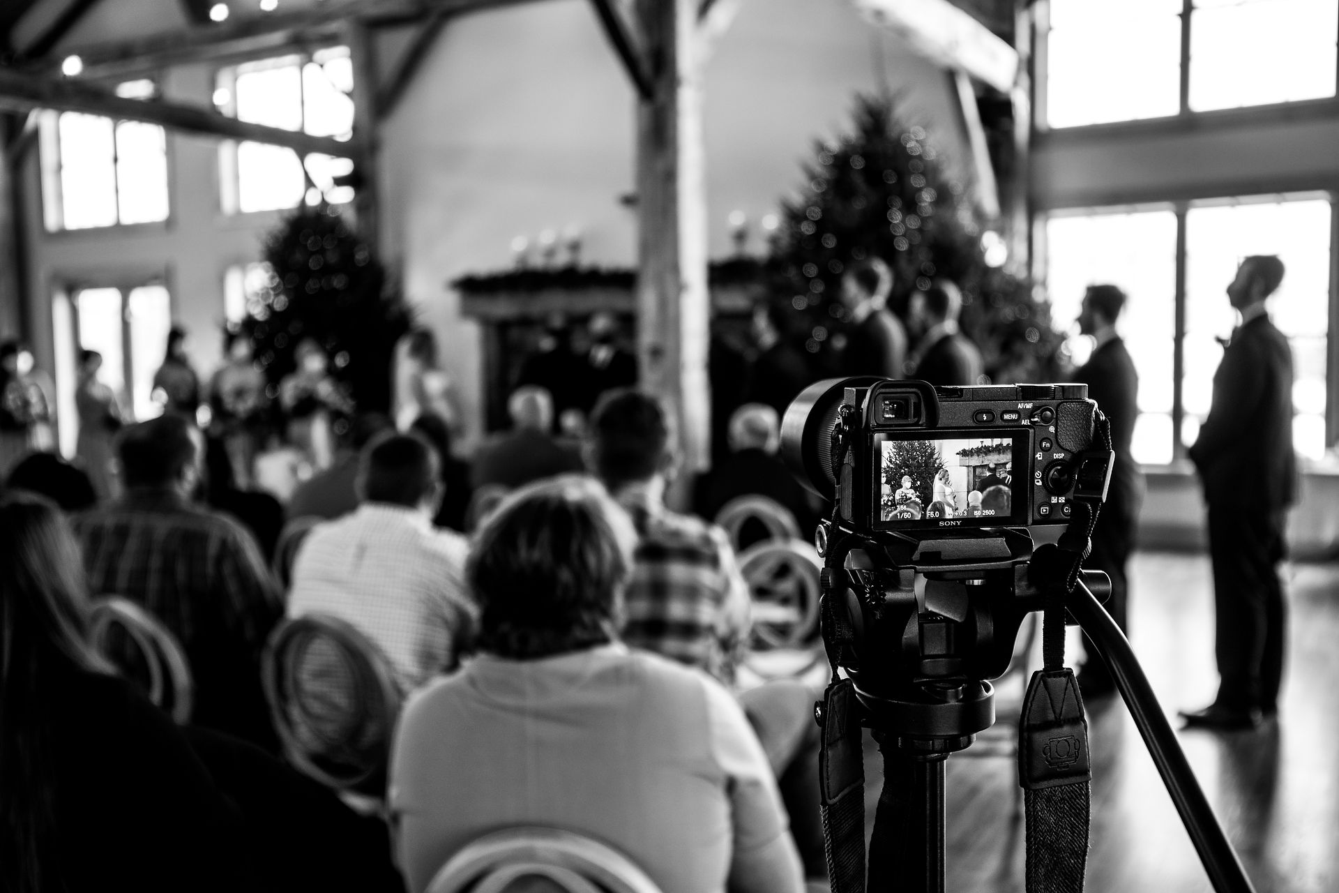 close up of the back of the videographer's camera 