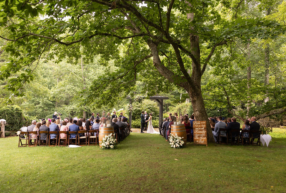 wedding ceremony at the vineyards at betty's creek