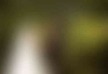 groom reacting to seeing the bride