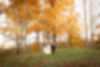 married couple holding hands and walking in front of a fall colored tree