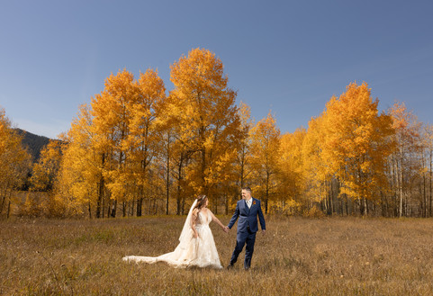 A groom leads his bride across an open field with yellow colored trees in the background.