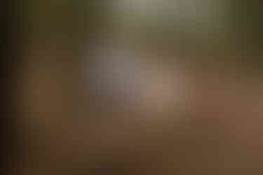 bride and groom holding hands and walking