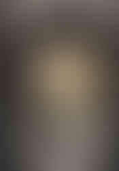 bridal portrait in front of a window