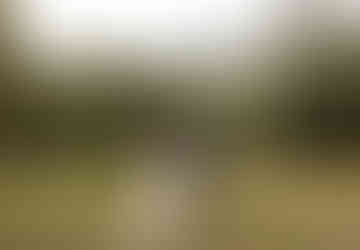 A bride wearing a white dress approaches a groom wearing a blue suit from behind for their first look in an open meadow.