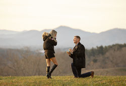 Biltmore Estate proposal