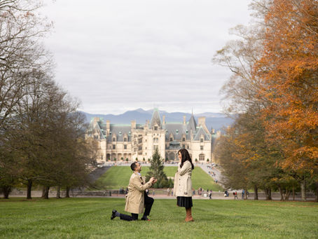 Beautiful Biltmore Estate Proposal : E + K