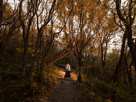 Craggy Gardens Engagement : K + J