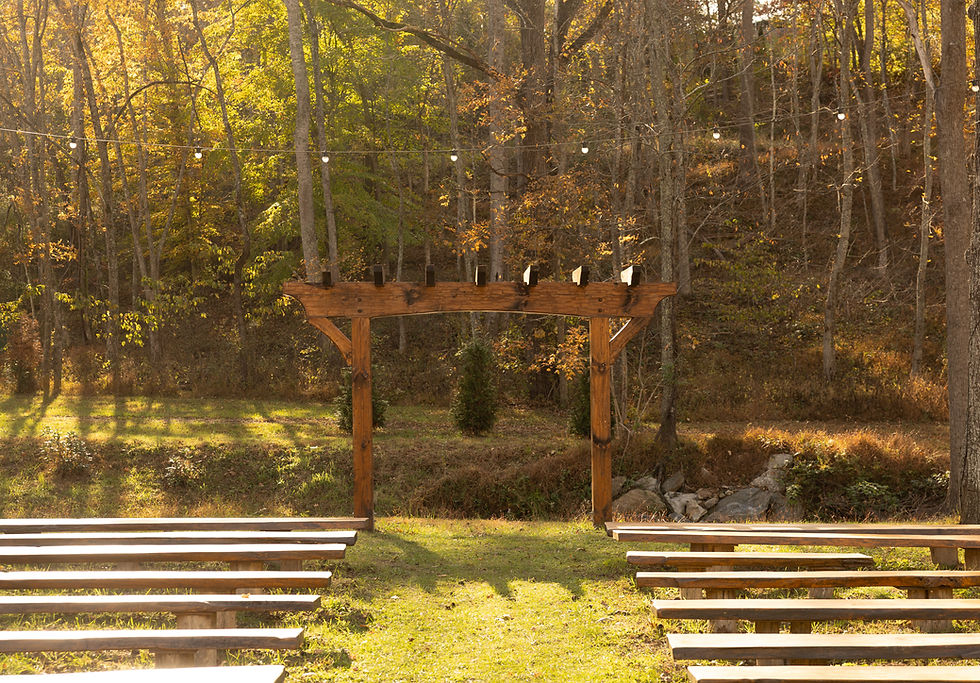The wedding ceremony space at JuneBug Retro Resort in Asheville. It's wooden, natural, and rustic while surrounded by greenery.