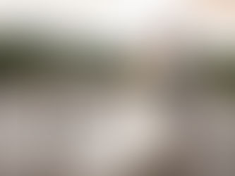 Highland Brewing Wedding: Sarah + George