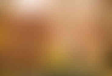 A couple holds each other close amongst the fall leaves.