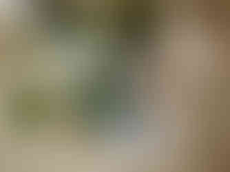 lay flat bridal details