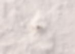 An engagement ring sitting in the snow.