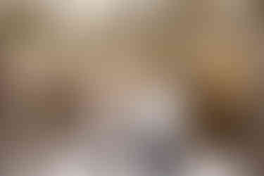 A couple laughs as the snow falls in front of them.