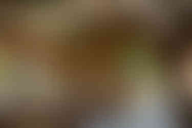 blue and white inspired wedding reception at the parker mill