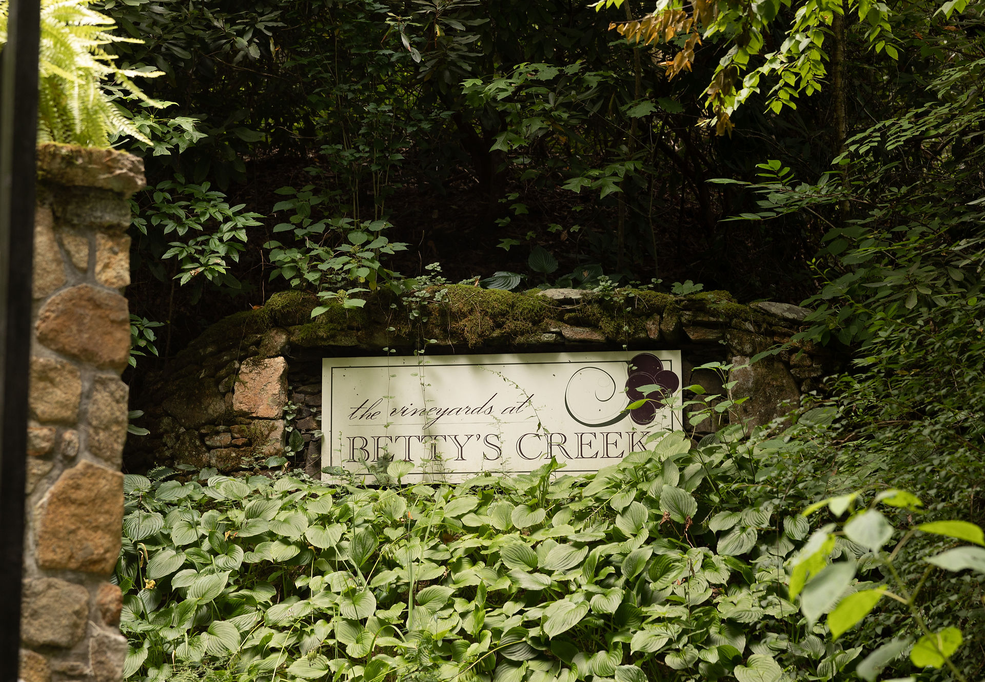 vineyards at betty's creek welcome sign 