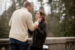 Biltmore proposal