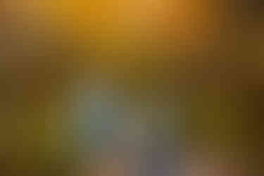 A couple holds hands and smiles at each other. 