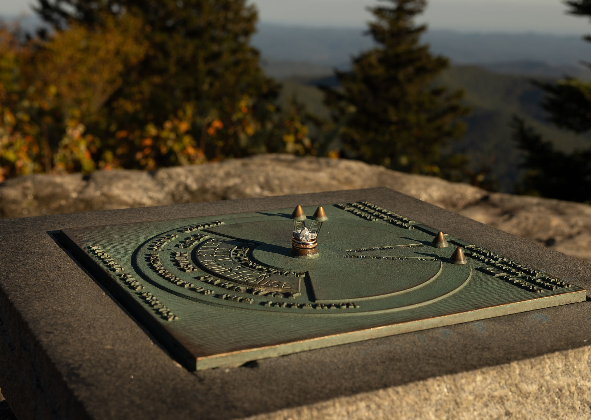 A couple's engagement ring on the forest service plaque.