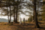 Bride and groom exchanging vows in a forest clearing, surrounded by tall trees. Landscape views in the background, serene and intimate.