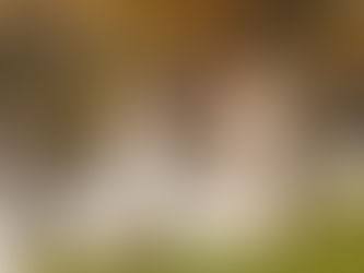 Two brides holding hands and smiling at each other as they walk among the fall colored leaves near the water. 