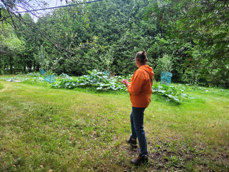 Cécile observe un terrain et un potager afin de préparer l’aménagement d’une future zone de culture.
