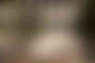 A couple holding hands and wearing sunglasses in the sunlight. 