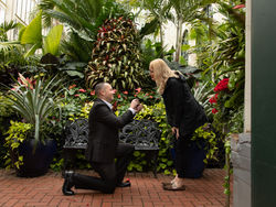 Biltmore Proposal locations