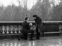 Biltmore proposals in the rain