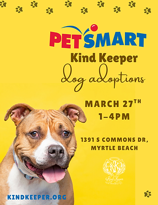 Surfside Petsmart 27th.png