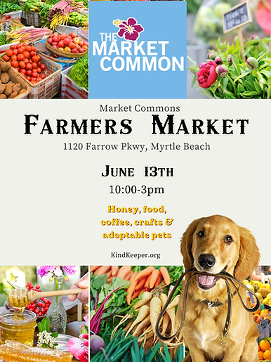 Market Commons Farmers Market .png