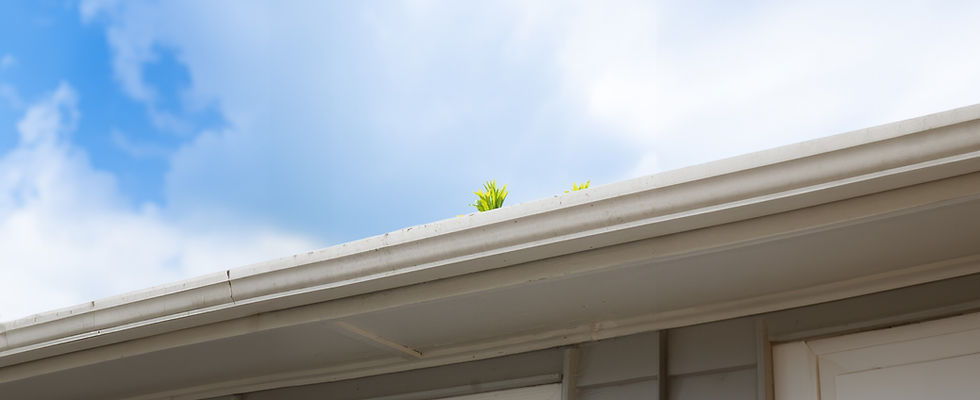 DSC04108 ai widened_edited.jpg