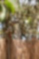 SoulFarm_Algarve_Aljezur_Arrifana_Facilities Resized_edited.jpg