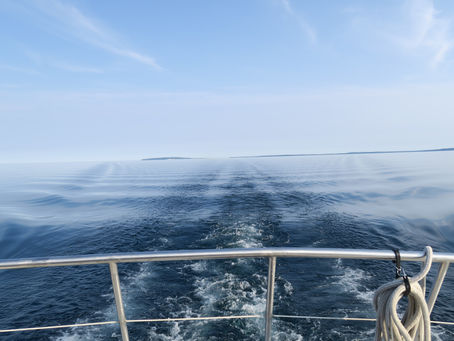 Them's worth fixin' - July, 2021