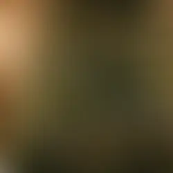 Surviving the Post-Christmas Exodus: Navigating the Emotional Rollercoaster and Cleanup Chaos